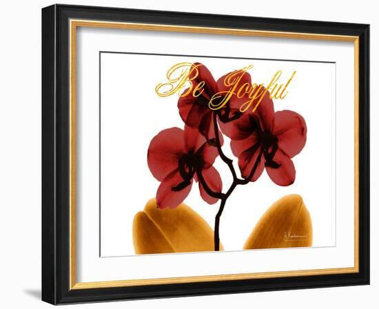 Joyful Orchid-Albert Koetsier-Framed Photo