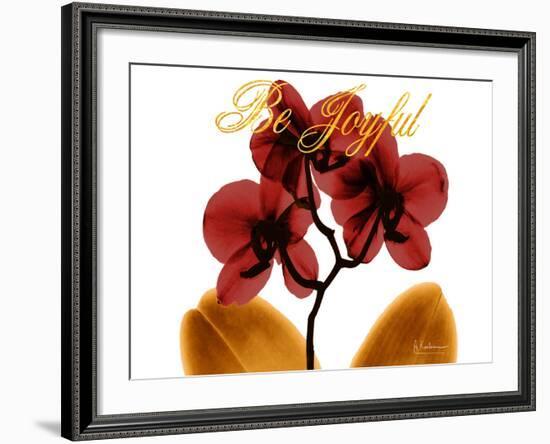 Joyful Orchid-Albert Koetsier-Framed Photo