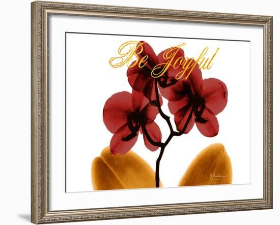 Joyful Orchid-Albert Koetsier-Framed Photo