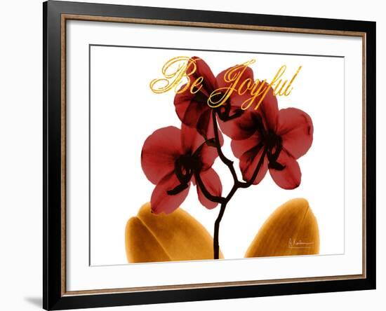 Joyful Orchid-Albert Koetsier-Framed Photo