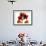 Joyful Orchid-Albert Koetsier-Framed Photo displayed on a wall