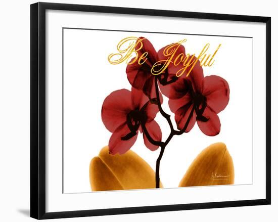Joyful Orchid-Albert Koetsier-Framed Photo