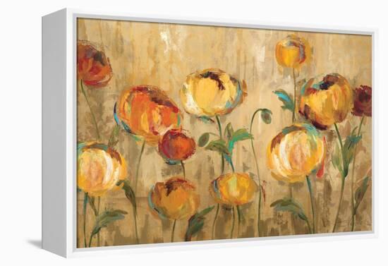 Joyful Ranunculi-Silvia Vassileva-Framed Stretched Canvas