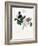 Joyful Spring - Flourish-Kristine Hegre-Framed Giclee Print