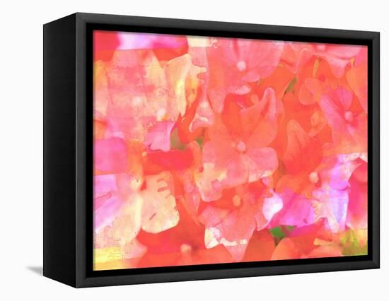 Joyful Summer I-Eva Bane-Framed Premier Image Canvas