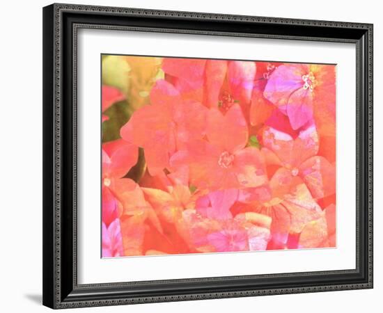 Joyful Summer II-Eva Bane-Framed Photographic Print