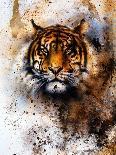 Tiger Collage on Color Abstract Background, Rust Structure, Wildlife Animals, Eye Contact.-Jozef Klopacka-Art Print