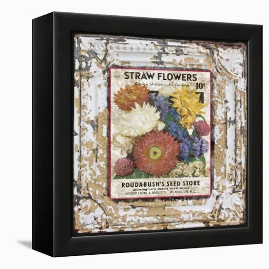 JP0543-Tin Tile-Straw Flowers-Jean Plout-Framed Premier Image Canvas