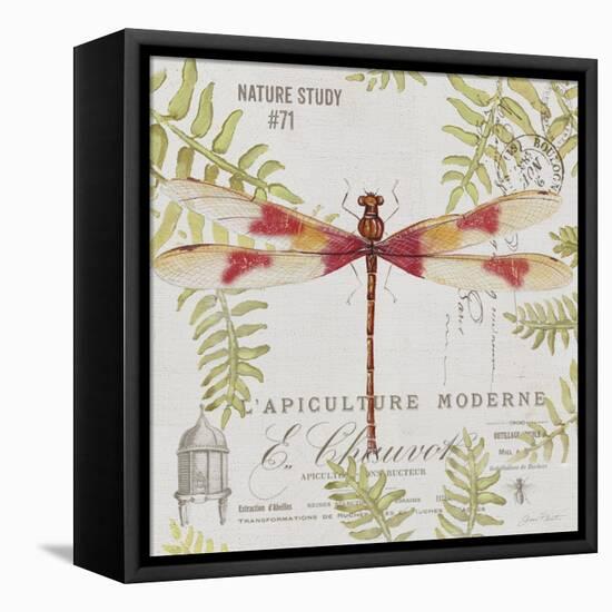 JP3425-Botanical Dragonfly-Jean Plout-Framed Premier Image Canvas