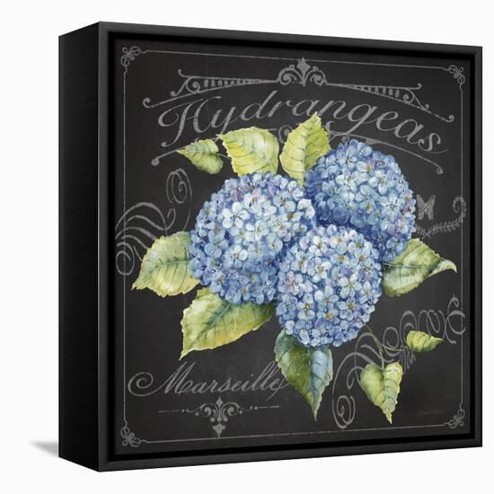 JP3887-Hydrangeas-Jean Plout-Framed Premier Image Canvas