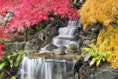 Backyard Waterfall with Japanese Maple Trees-jpldesigns-Photographic Print