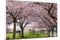 Premium Photographic Print
