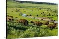 Stretched Canvas Print