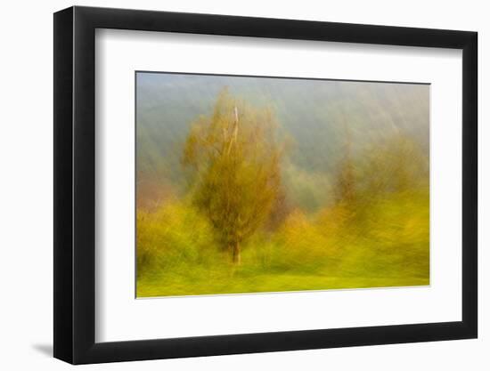 JS_283_Wind Whistling Through The Trees 1-Janet Slater-Framed Photographic Print