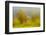 JS_283_Wind Whistling Through The Trees 1-Janet Slater-Framed Photographic Print