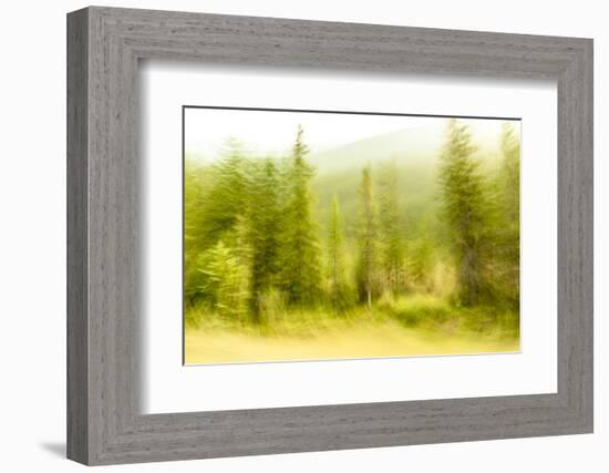 JS_284_Wind Whistling Through The Trees 2-Janet Slater-Framed Photographic Print