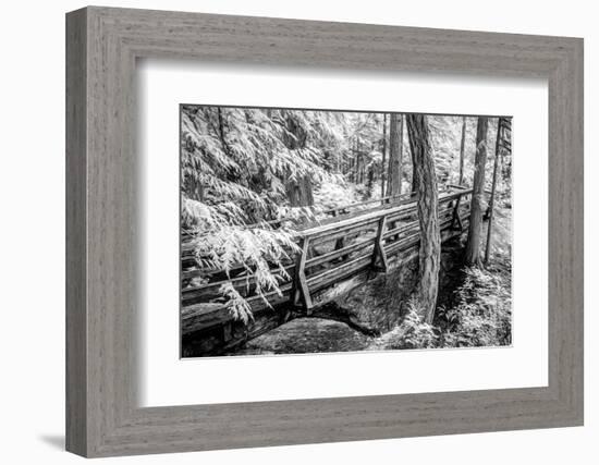 JS_303_Bridge Connecting Here And There-Janet Slater-Framed Photographic Print