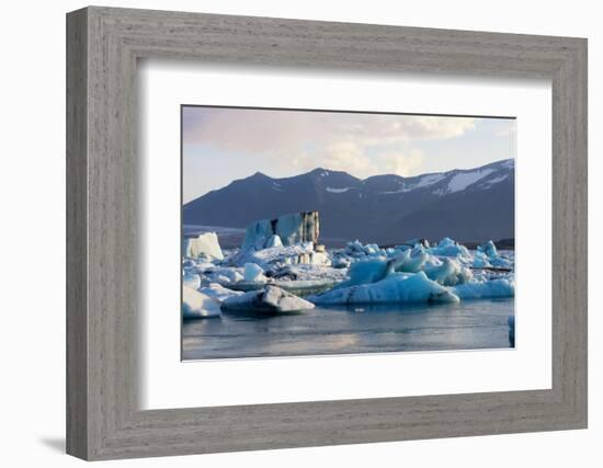 Jškulsarlon - Glacier Lagoon in Morning Light-Catharina Lux-Framed Photographic Print