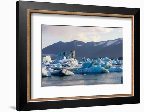 Jškulsarlon - Glacier Lagoon in Morning Light-Catharina Lux-Framed Photographic Print