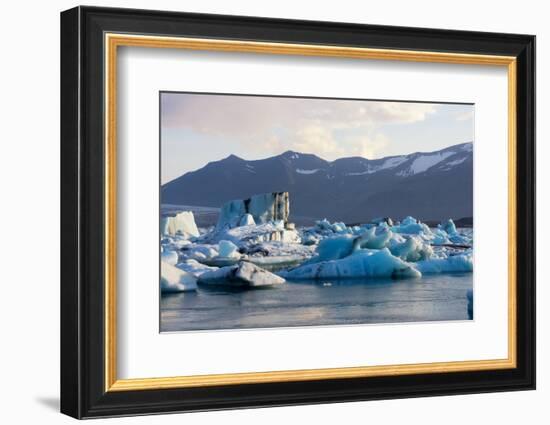 Jškulsarlon - Glacier Lagoon in Morning Light-Catharina Lux-Framed Photographic Print