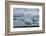 Jškulsarlon - Glacier Lagoon, Morning Light, Sheep-Catharina Lux-Framed Photographic Print