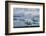 Jškulsarlon - Glacier Lagoon, Morning Light, Sheep-Catharina Lux-Framed Photographic Print