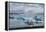 Jškulsarlon - Glacier Lagoon, Morning Light, Sheep-Catharina Lux-Framed Premier Image Canvas