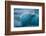 Jškulsarlon, Iceberg Remains on the Atlantic Beach-Catharina Lux-Framed Photographic Print