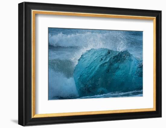 Jškulsarlon, Iceberg Remains on the Atlantic Beach-Catharina Lux-Framed Photographic Print