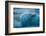 Jškulsarlon, Iceberg Remains on the Atlantic Beach-Catharina Lux-Framed Photographic Print