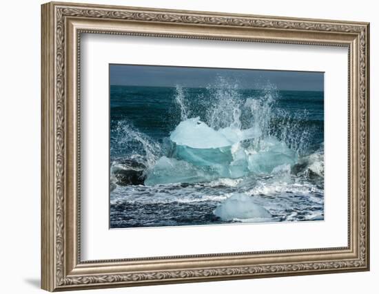 Jškulsarlon, Iceberg Remains on the Atlantic Beach-Catharina Lux-Framed Photographic Print