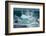 Jškulsarlon, Iceberg Remains on the Atlantic Beach-Catharina Lux-Framed Photographic Print