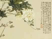 Flowers, from an Album of Ten Leaves-Ju Lian-Framed Giclee Print