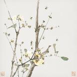 Flowers, from an Album of Ten Leaves-Ju Lian-Framed Giclee Print