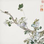 Flowers, from an Album of Ten Leaves-Ju Lian-Framed Giclee Print