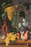 Still Life with Grapes, Birds, Flowers and Shells-Juan de Espinosa-Framed Giclee Print