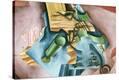 Stretched Canvas Print