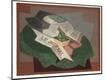 Giclee Print