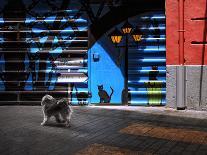 The Street Cats.-Juan Luis-Premium Photographic Print