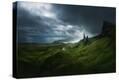 Stretched Canvas Print