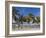 Juangriego Harbour, Juangriego, Isla De Margarita (Margarita Island), Nueva Esparta, Venezuela-Jane Sweeney-Framed Photographic Print