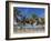 Juangriego Harbour, Juangriego, Isla De Margarita (Margarita Island), Nueva Esparta, Venezuela-Jane Sweeney-Framed Photographic Print