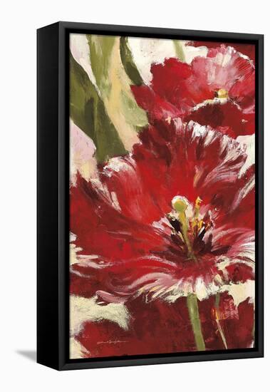 Jubilant Red Tulip Panel 1-Brent Heighton-Framed Stretched Canvas