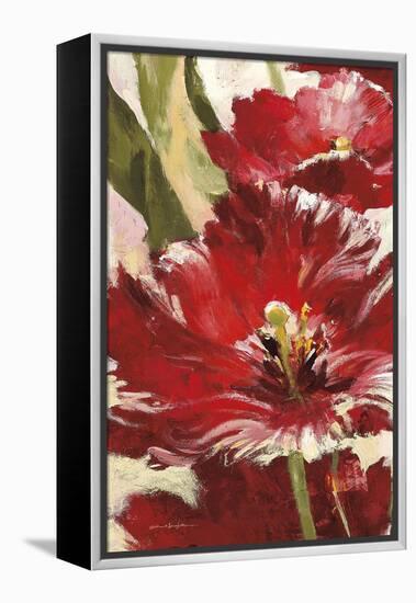 Jubilant Red Tulip Panel 1-Brent Heighton-Framed Stretched Canvas