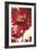 Jubilant Red Tulip Panel 2-Brent Heighton-Framed Art Print