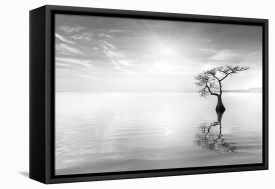 Judge II-Moises Levy-Framed Premier Image Canvas