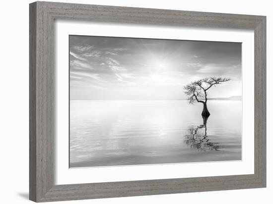 Judge II-Moises Levy-Framed Photographic Print