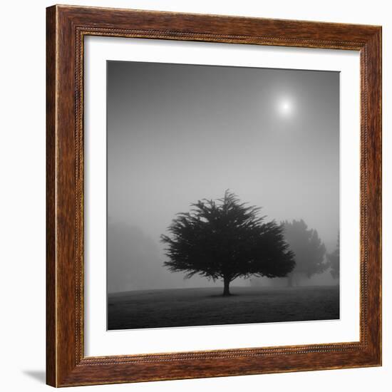 Judge-Moises Levy-Framed Photographic Print