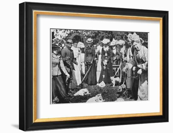 Judging cats at the Royal Botanic Gardens show, Kew, London, c1900 (1901)-Unknown-Framed Photographic Print