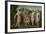 Judgment of Paris-Meester van de Vrouwelijke Halffiguren-Framed Art Print